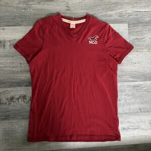 Vtg Hollister Logo T Shirt Men XL Muscle Embroidered Bird Logo Y2K Preppy V-Neck